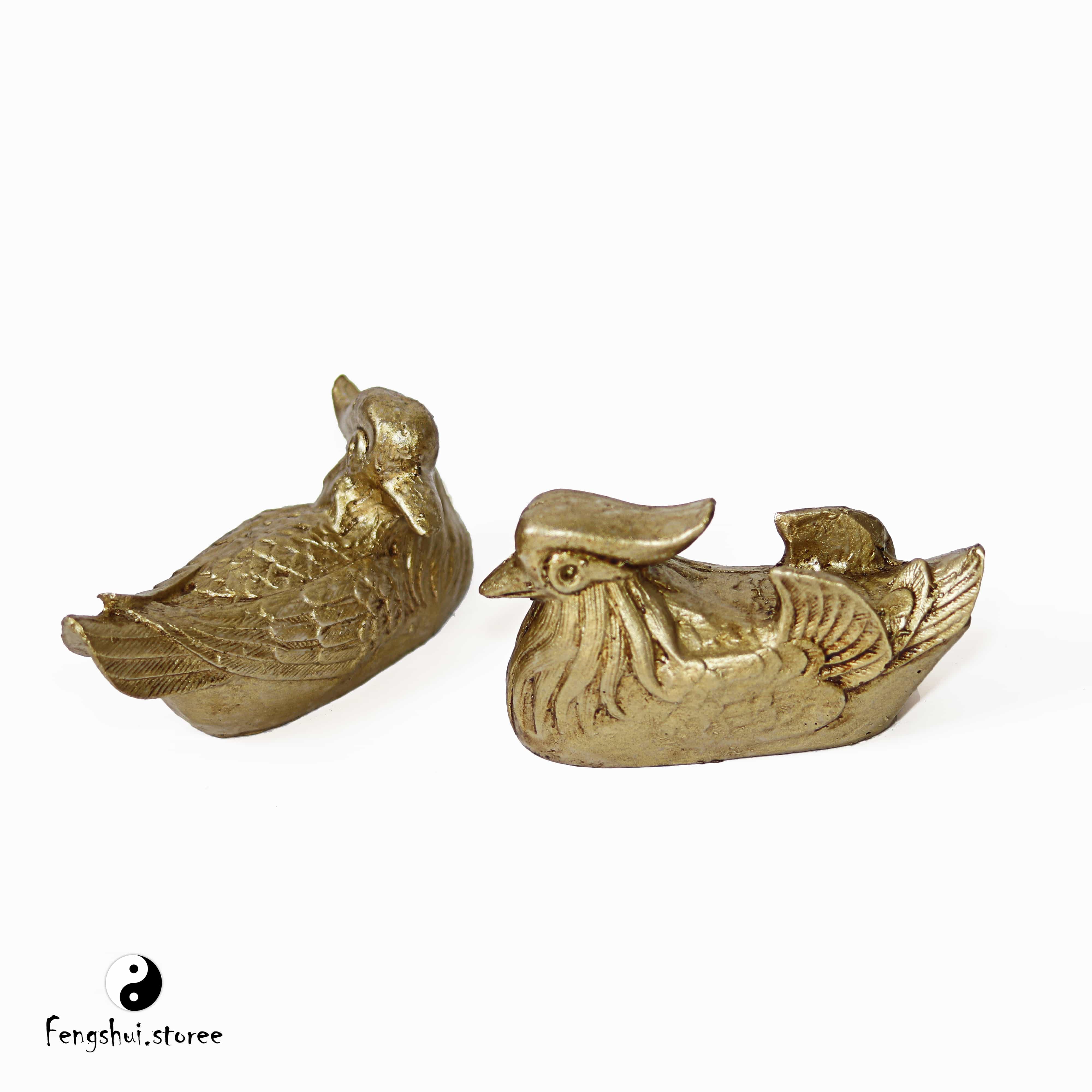 اردک های ماندارین جذب عشق